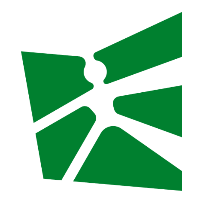 Logo Executive MBA HSG in Business Engineering