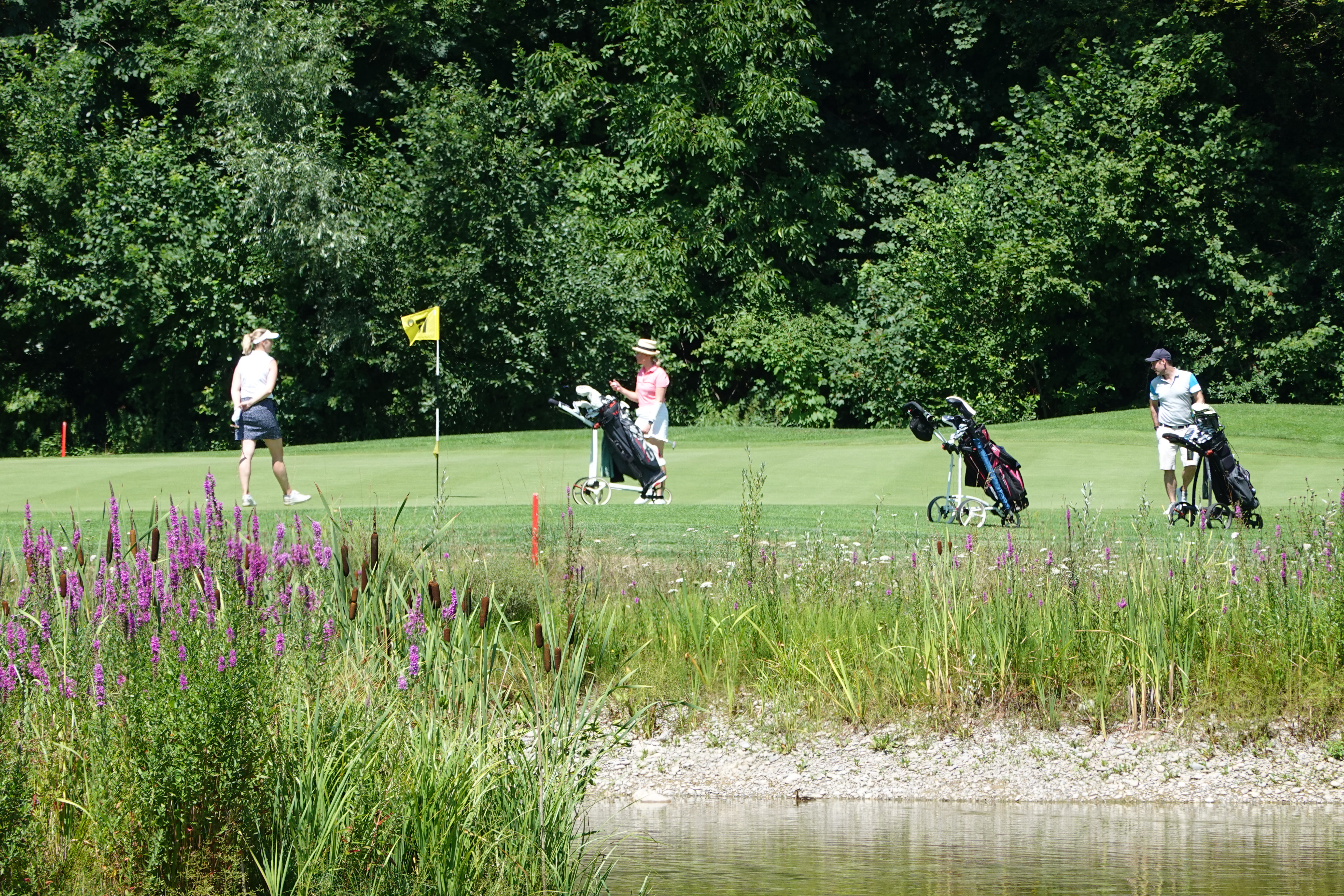 53104586638 59D4d848c2 O